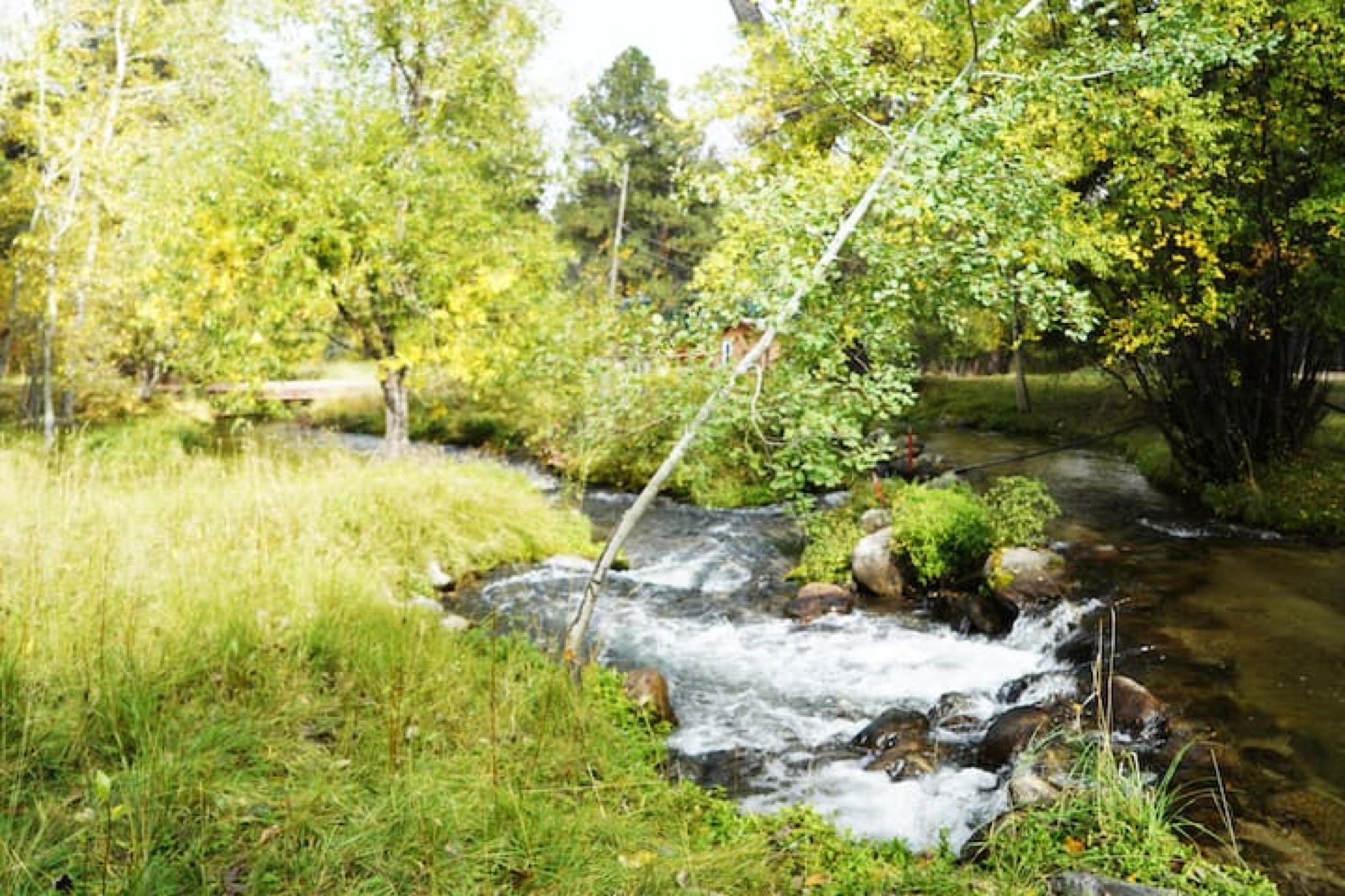 The creek running fast over rocks