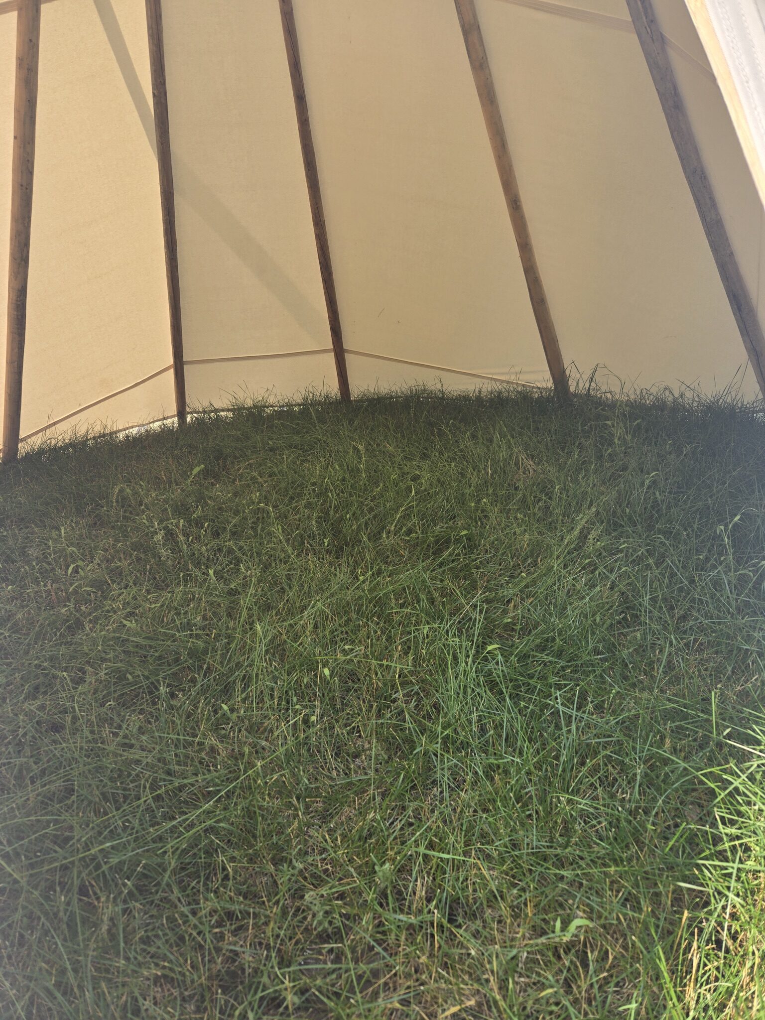 Fox Tipi