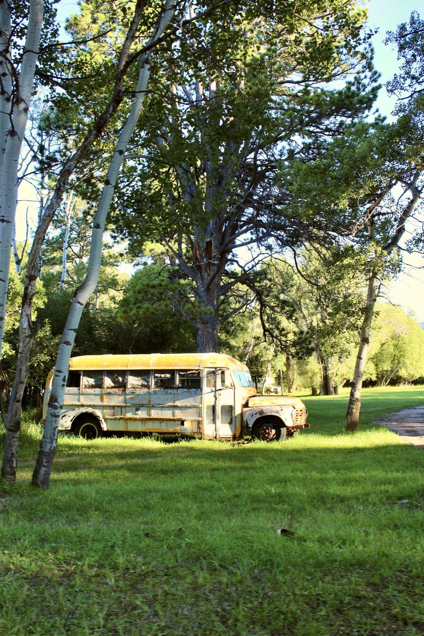 Rustic Bert Bus