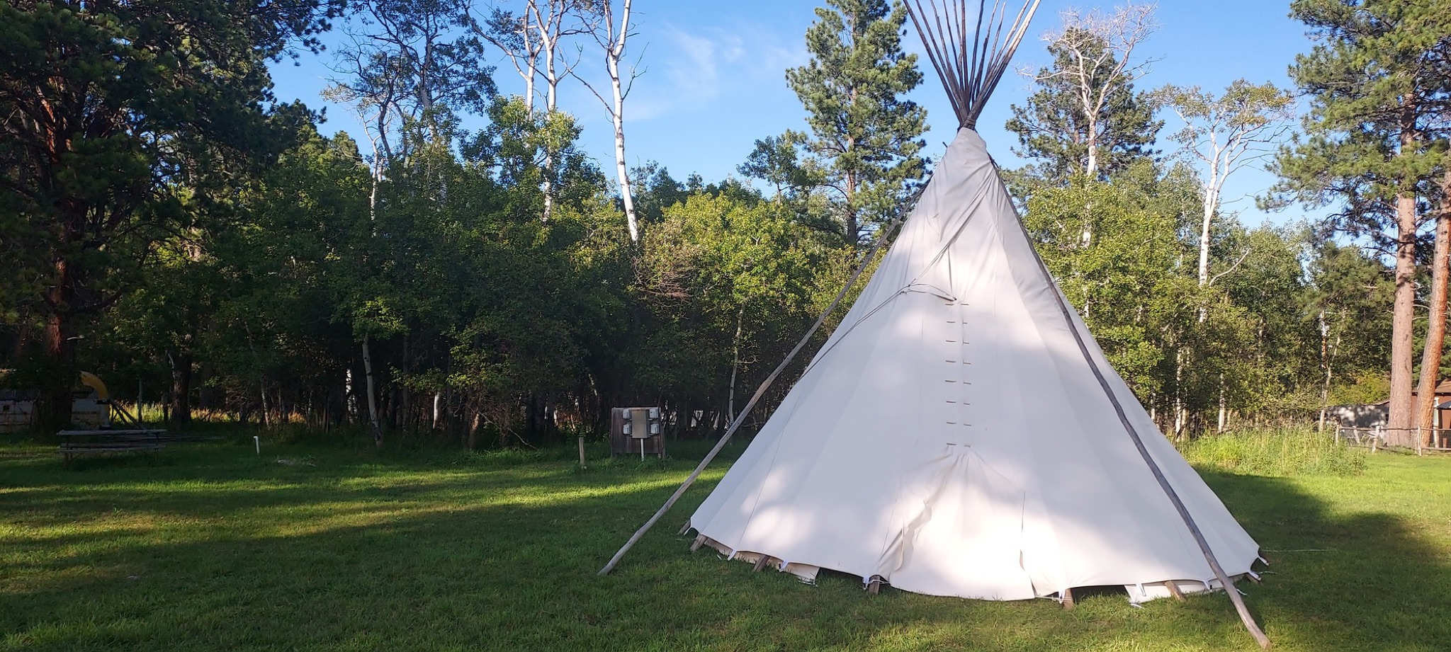 The Bear Tipi